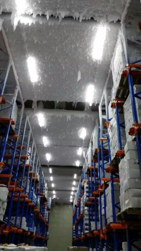 冷蔵庫用LED器具のご案内― 直管LEDの(株)電費半分