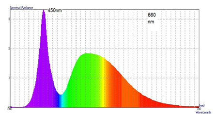 LED蛍光灯を実際に測定した波長