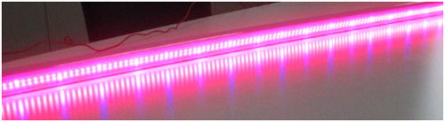 植物育成用のLED蛍光灯