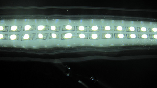 水中でも明るい防水型LED蛍光灯